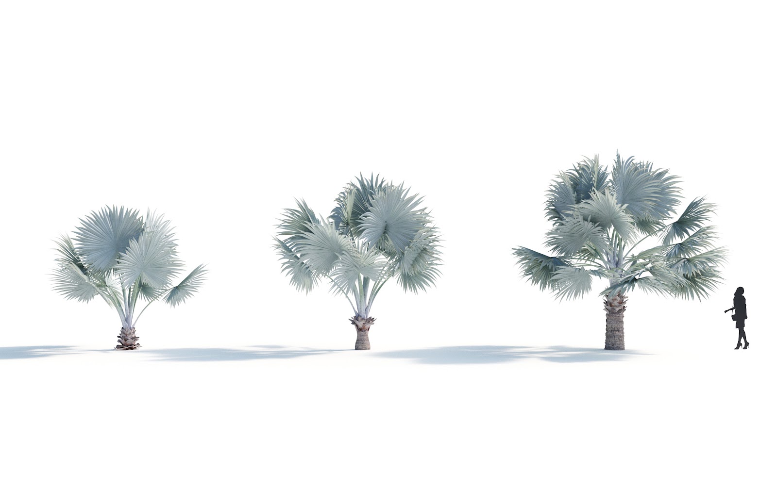 Maxtree - Plant Models Vol.7