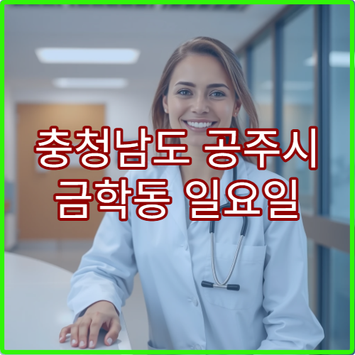 충청남도 공주시 금학동 일요일 약국 휴일에도 여는 약국 정보