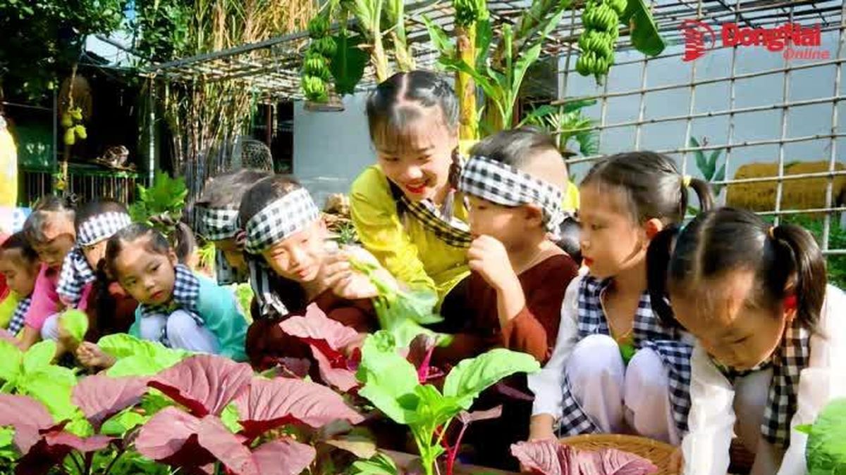 [Video] Khi cô giáo làm 'nông dân' vì bữa ăn an toàn của trẻ - Báo Đồng Nai