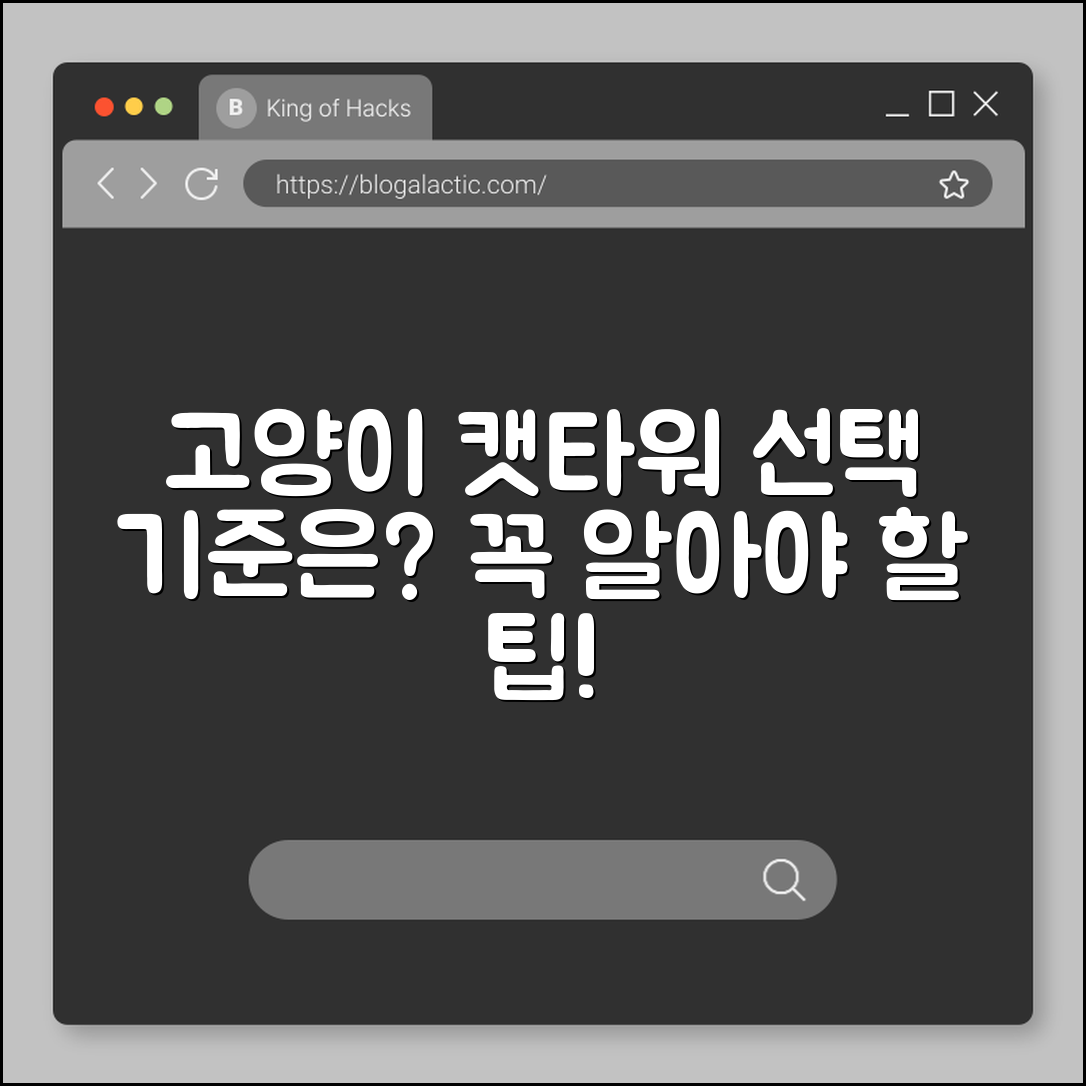 고양이 캣타워, 선택 기준은 무엇일까요?