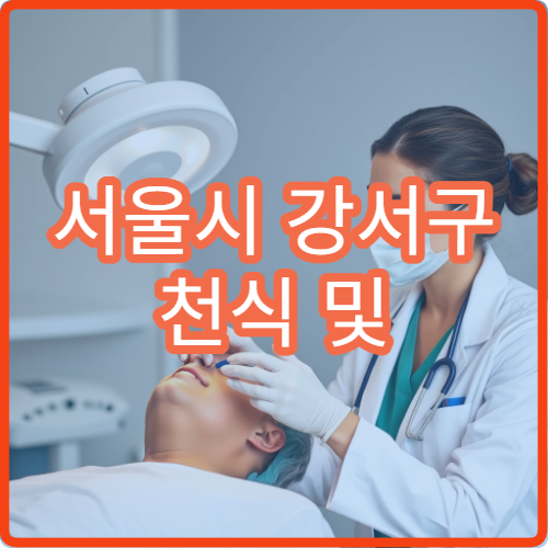서울시 강서구 천식 및 기관지 관리 호흡기내과 장기 추적 병원