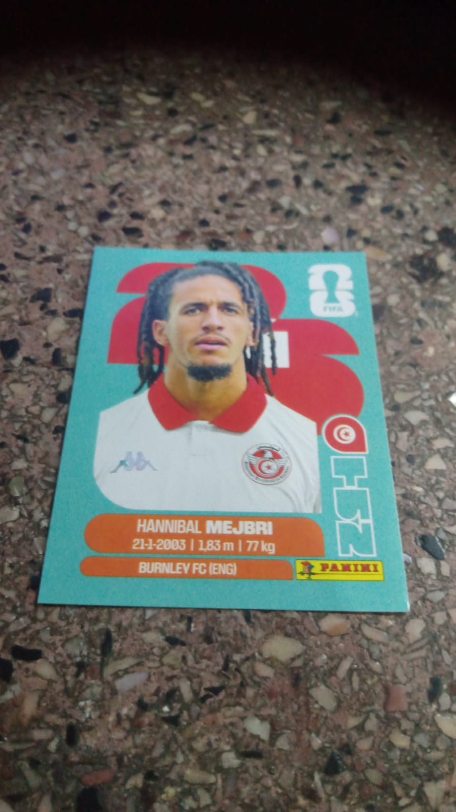 Hannibal Mejbri