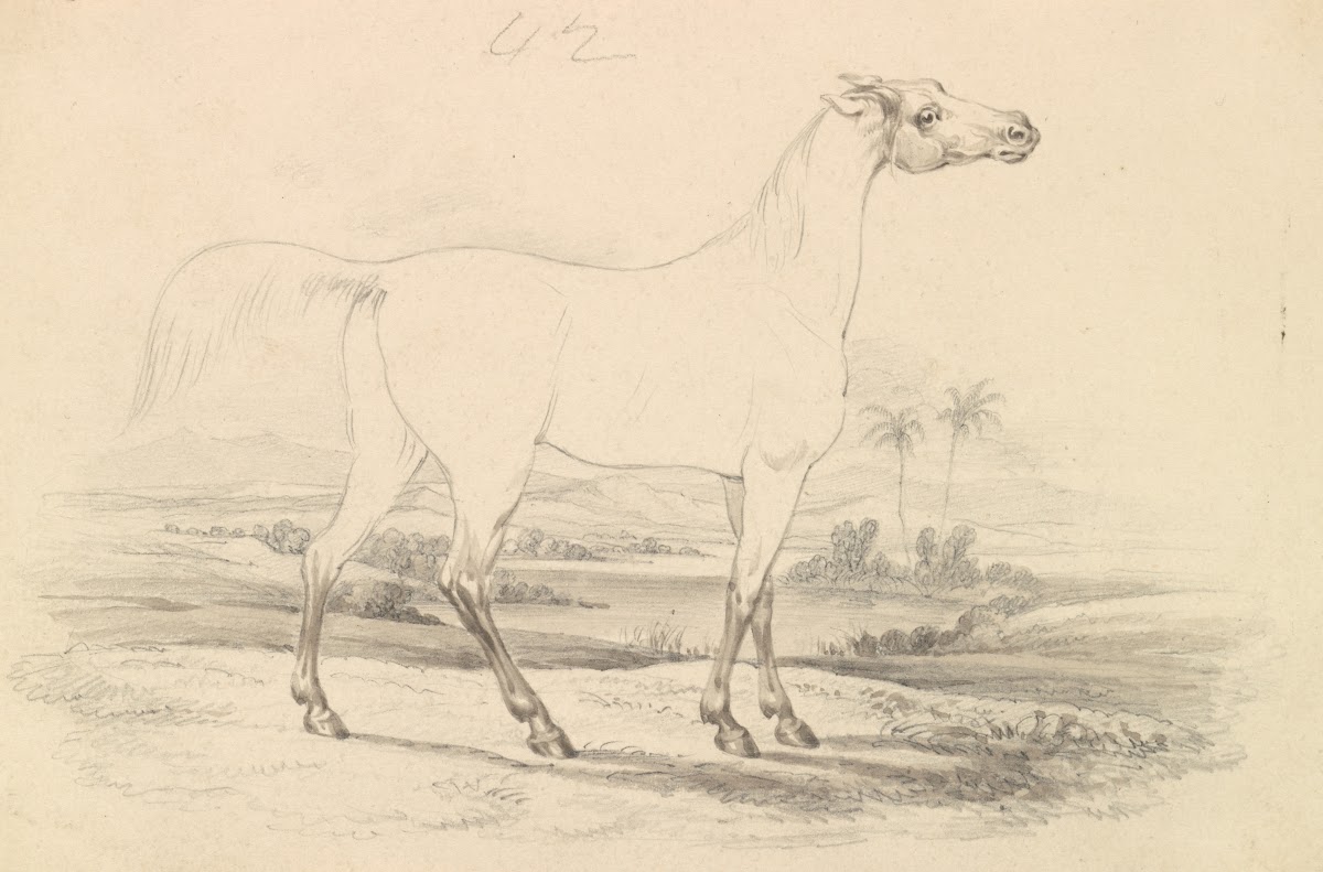 Shrubat ur Reech 1837