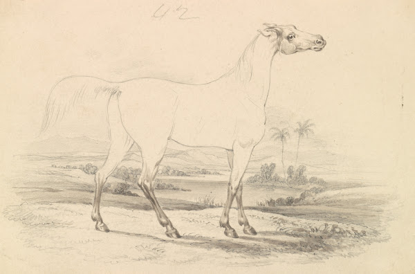 Shrubat ur Reech 1837