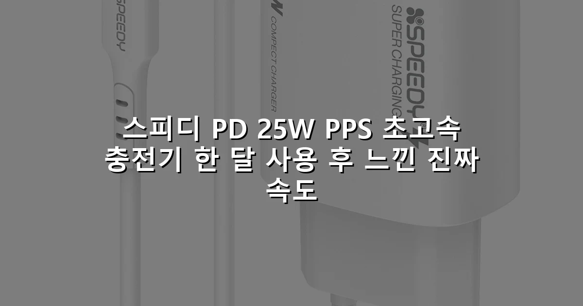 스피디 PD 25W PPS 초고속 충전기 한 달 사용 후 느낀 진짜 속도