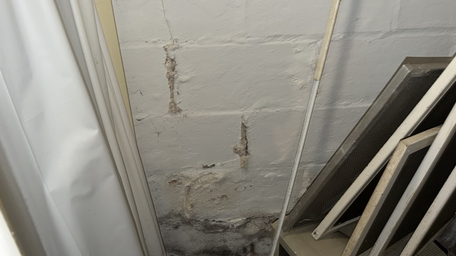 Copy of IMG_2026-03-13_14-49-59_301.jpg