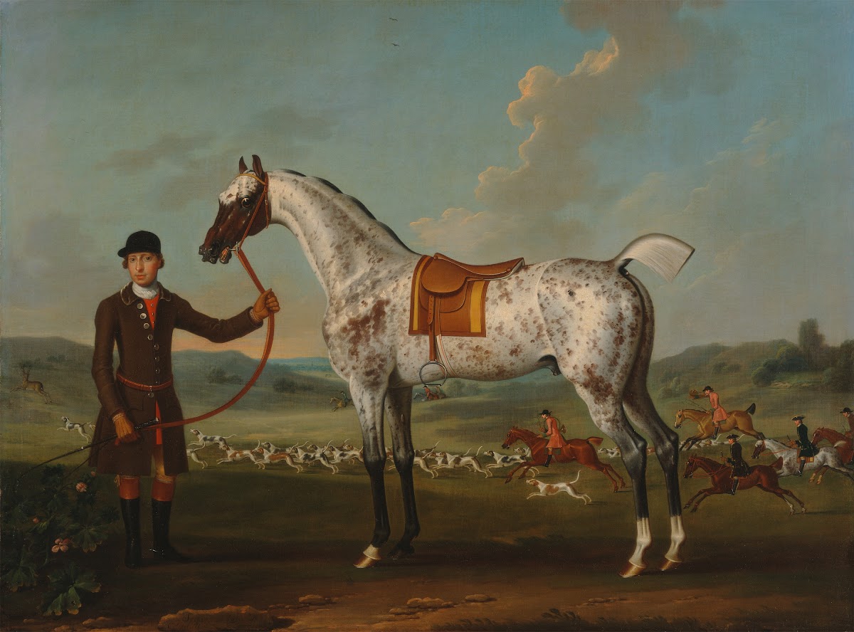 Scipio a spotted hunter the property of Colonel Roche ca 1750