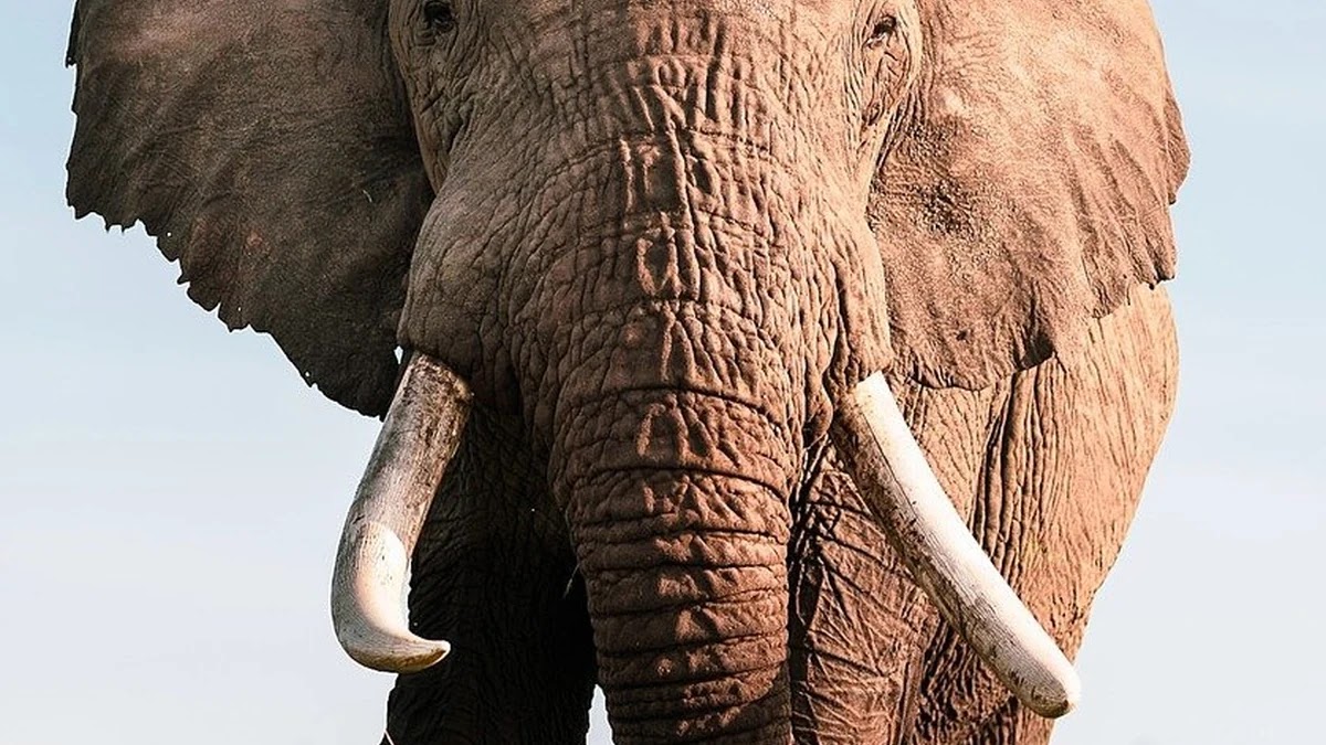 인도 ETF 투자 시 유망