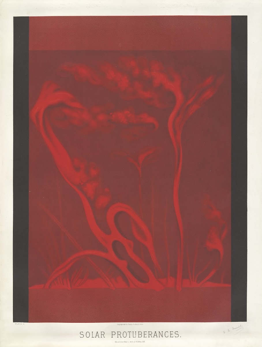 Solar protuberances 1881 1882
