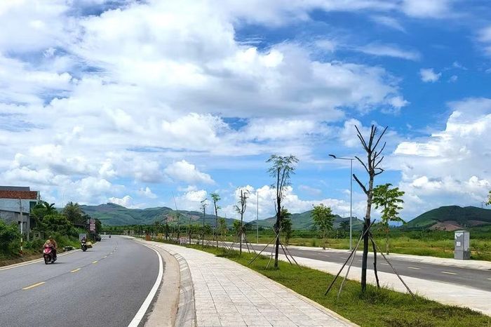 Bất thường đấu giá trúng 16 lô đất rồi bỏ cọc ở Quảng Ngãi - Báo Tri thức &amp; Cuộc sống