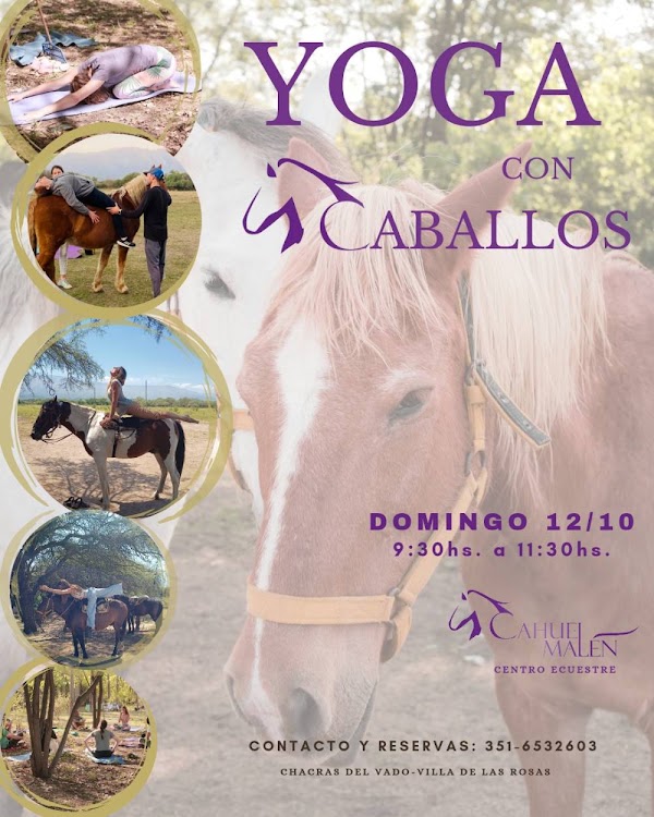 YOGA CON CABALLOS