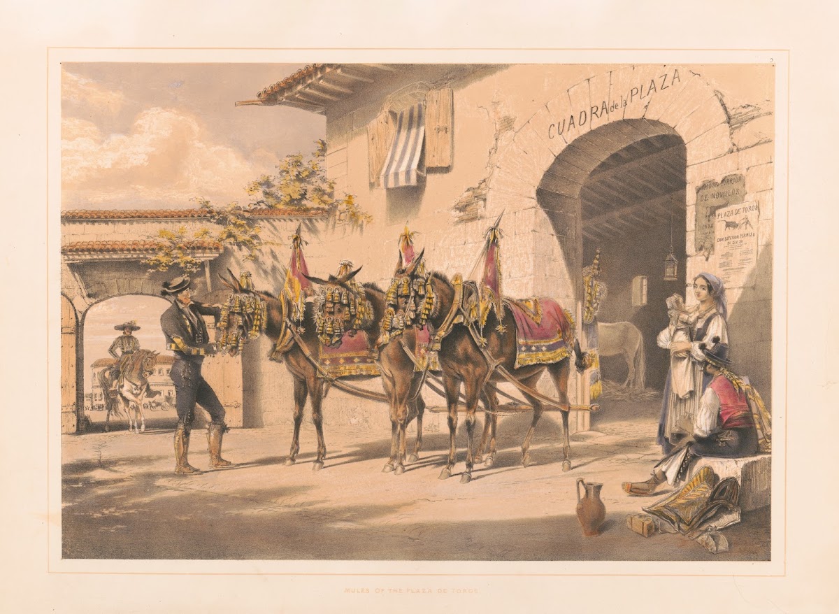Mules of the Plaza de Toros 1860 1870