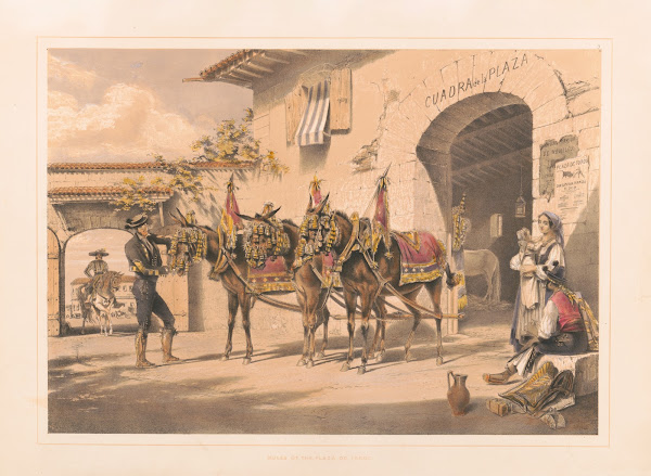 Mules of the Plaza de Toros 1860 1870