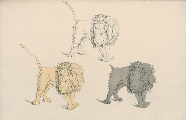 Standing lion in a threatening pose three times repeated in different colours
