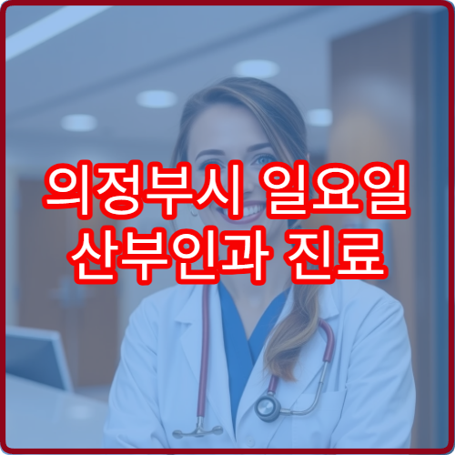 의정부시 일요일 산부인과 진료 병원 여성질환·산전검사 상담 가능