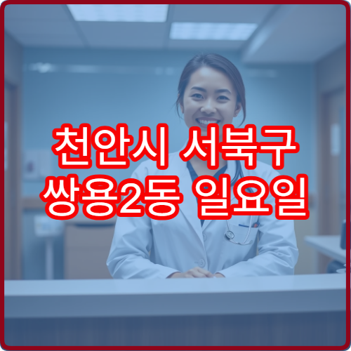 천안시 서북구 쌍용2동 일요일 안과 진료 병원 눈부심 증상 검사
