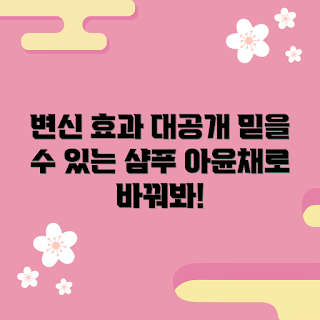 아윤채샴푸 효과, 아윤채샴푸 추천, 왜 아윤채샴푸인가, 아윤채샴푸 성분, 아윤채샴푸 사용법