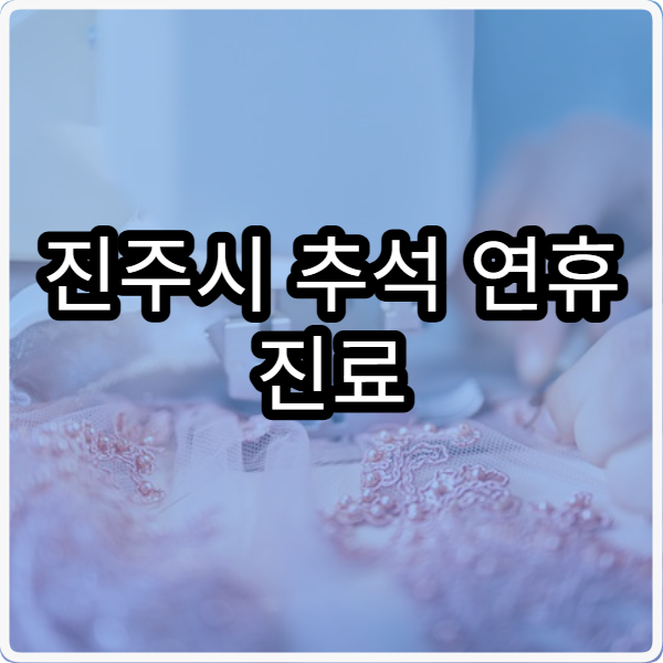 진주시 추석 연휴 진료 병원 종합 안내와 이용 방법