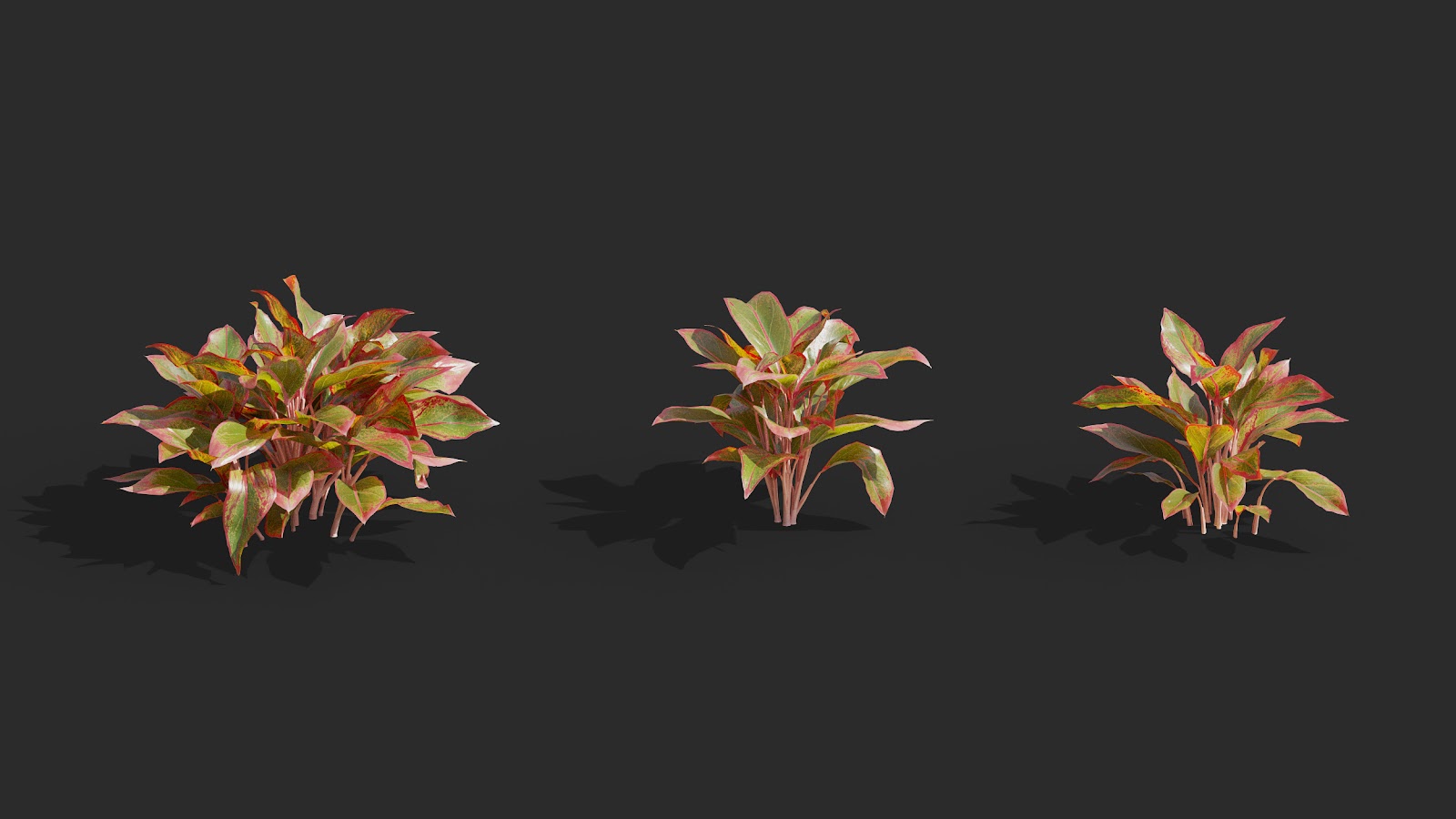Maxtree - Plant Models Vol.62