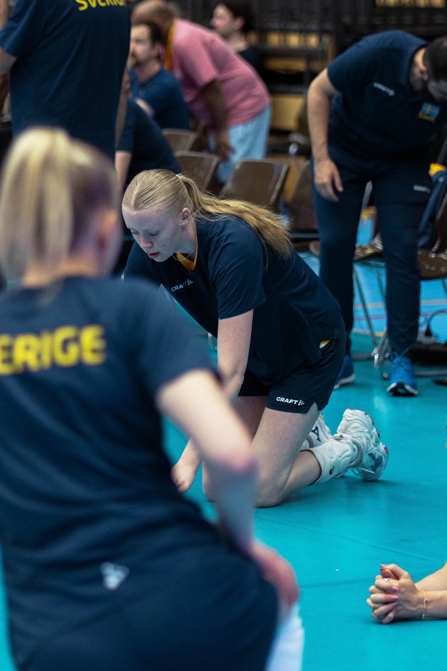Sweden Hungary 29