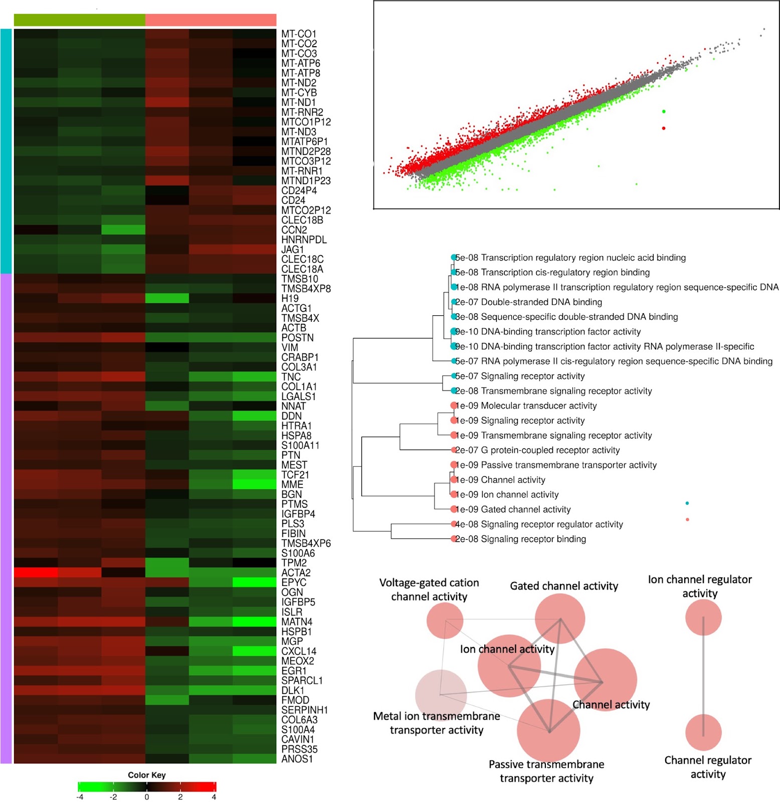 KCNJ16-depleted kidney organoids recapitulate tubulopathy and lipid recovery upon statins treatment