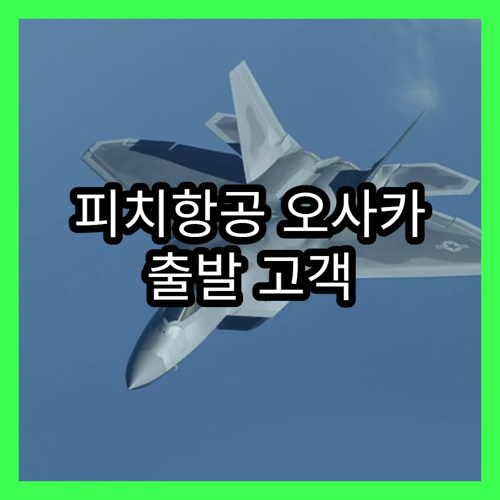 피치항공 오사카 출발 고객 후기와 수하물 규정