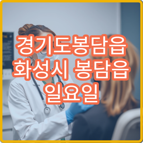 경기도봉담읍 화성시 봉담읍 일요일 내과 진료 병원 안내 주말 내과 리스트