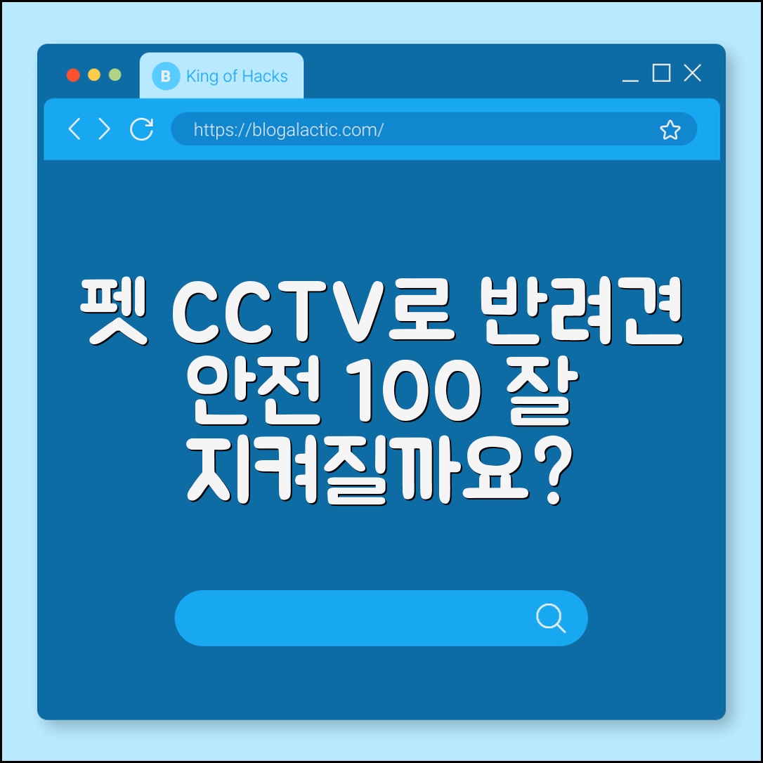 펫 CCTV 카메라, 내 반려견 잘 지켜질까요?