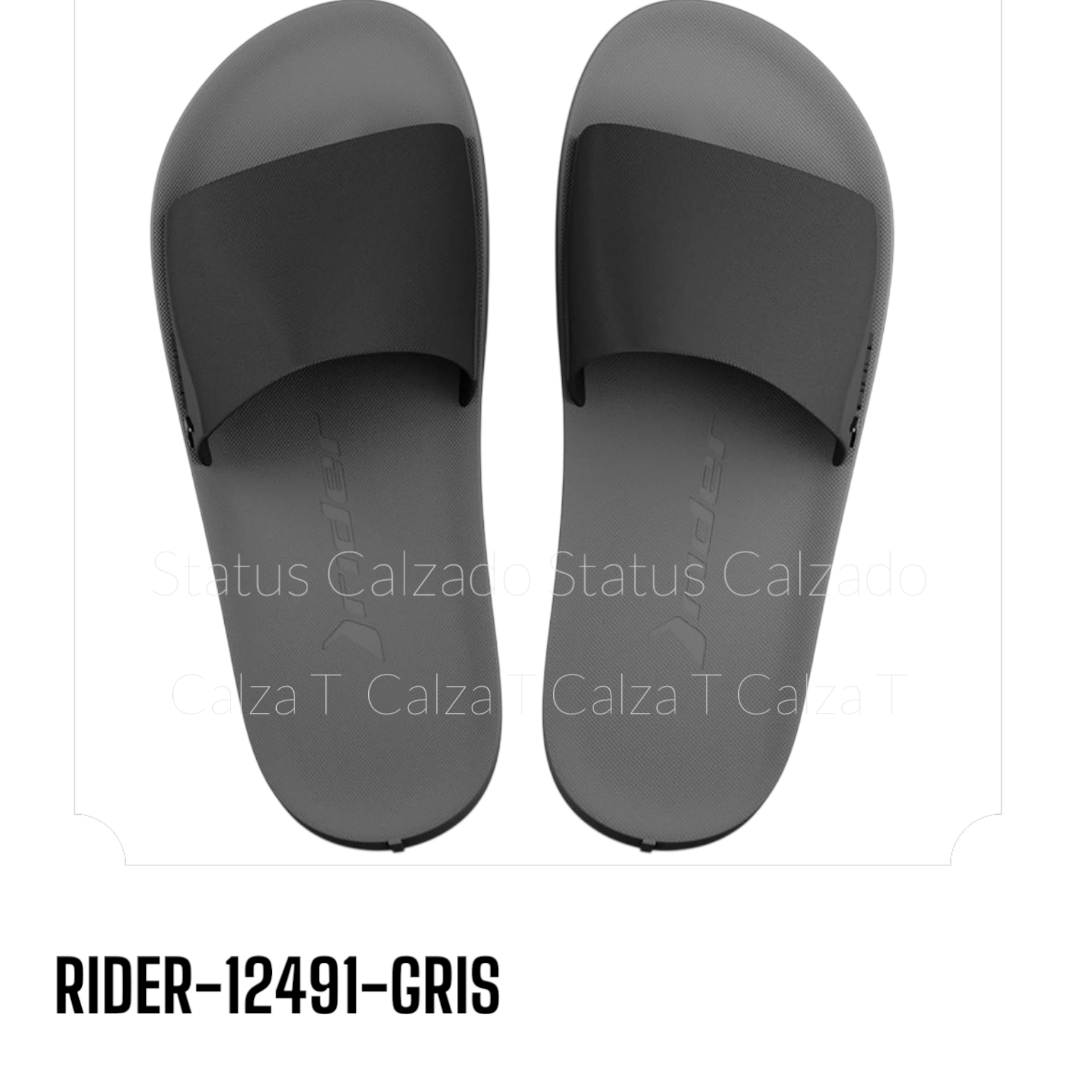 RIDER-12491-GRIS