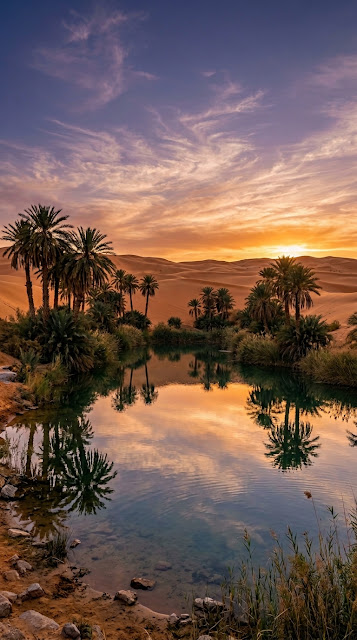 Realistic Desert Oasis with Date Palms and Sunset Reflection - Free mobile Wallpaper