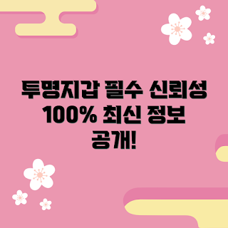 투명지갑 추천, 투명지갑 장점, 투명지갑 선택법, 신뢰할 수 있는 투명지갑, 투명지갑 구매 가이드