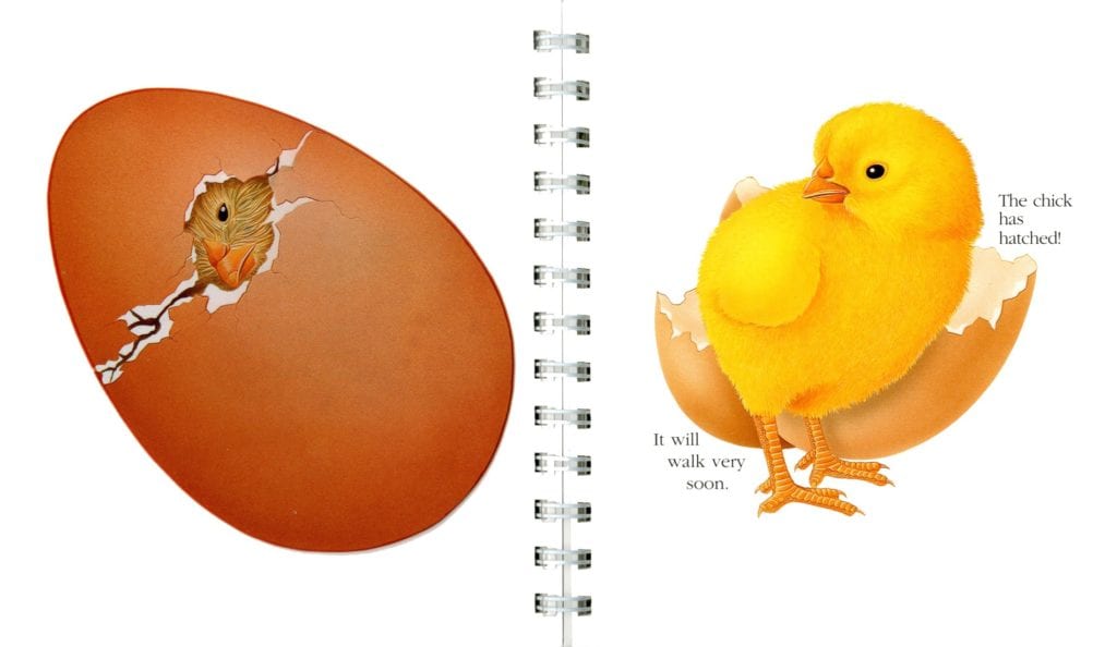 The Egg [PO] - thumbnail 3