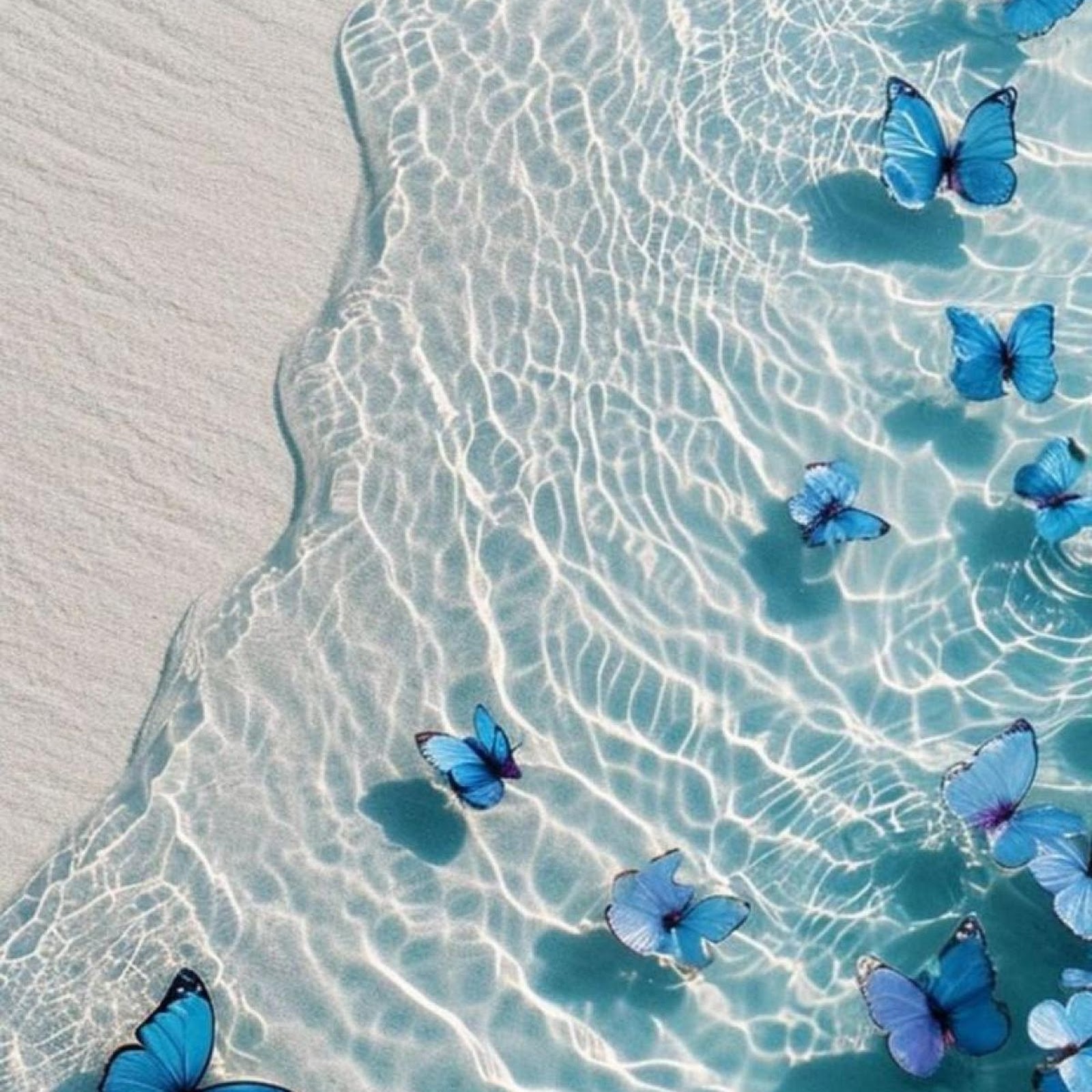 Download Blue Butterflies on Beach Waves Full HD iPhone