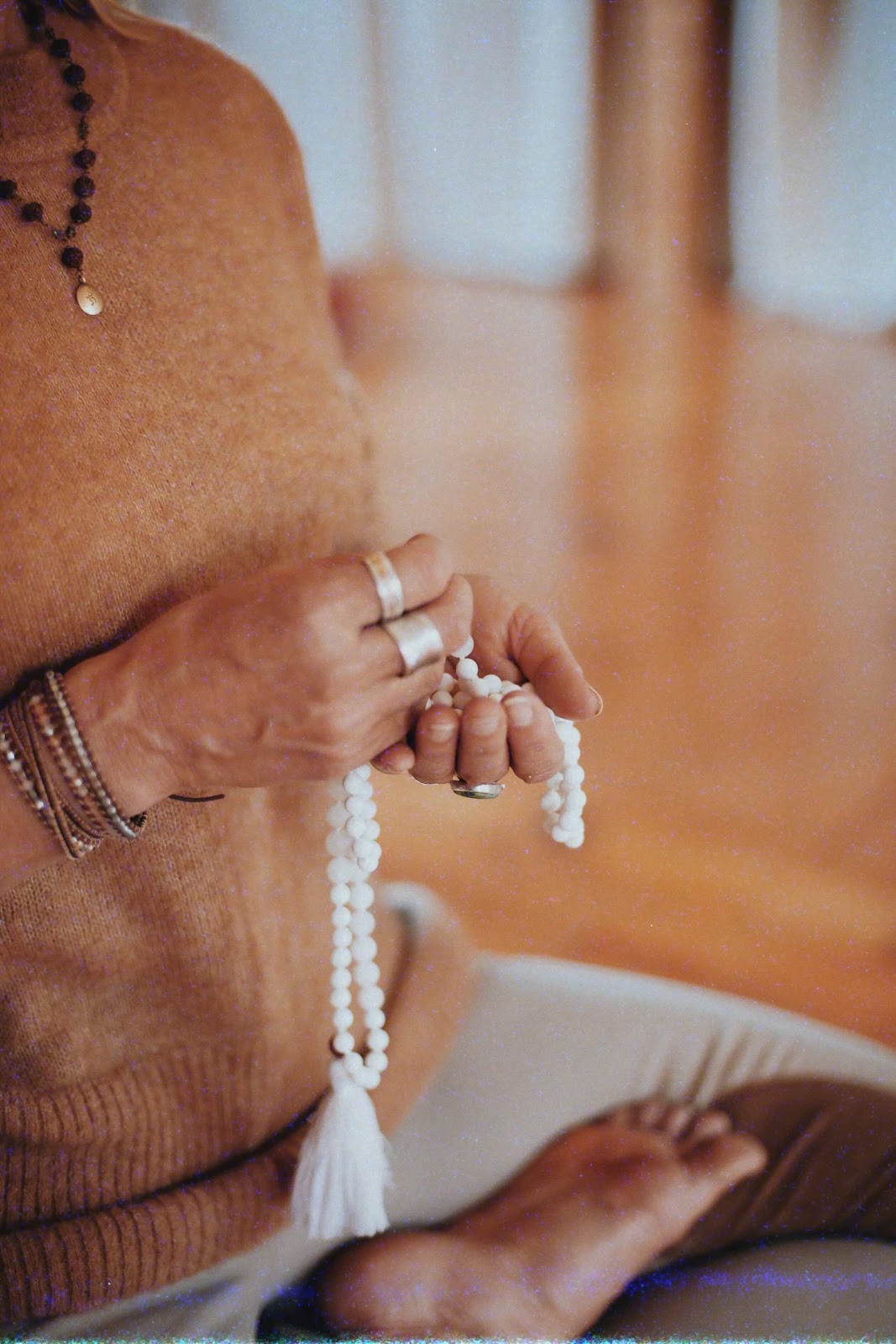 Holly in contemplative practice