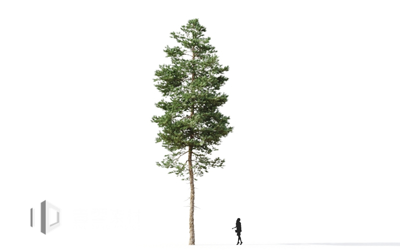 Maxtree - Plant Models Vol.9
