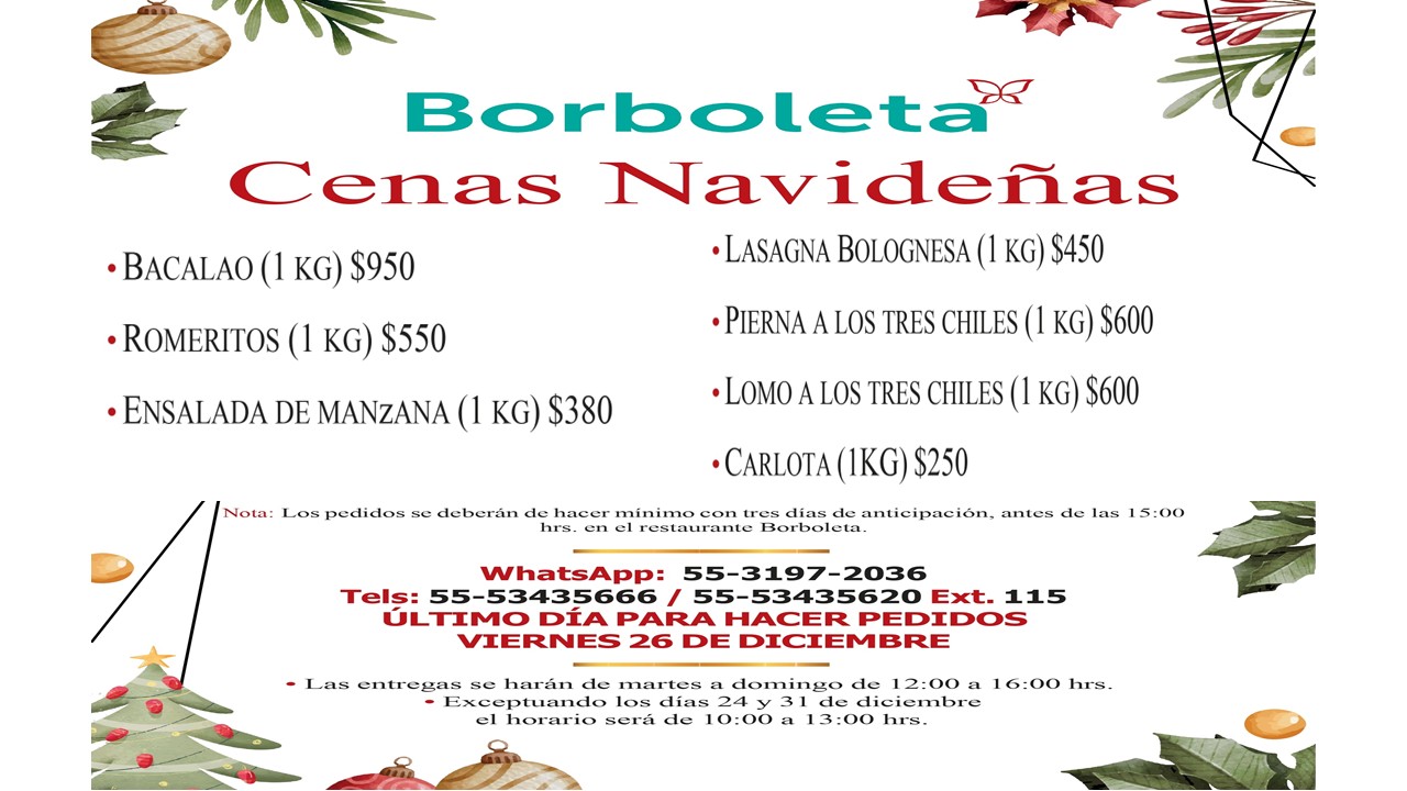 0_153_Cenas Borboleta.JPG