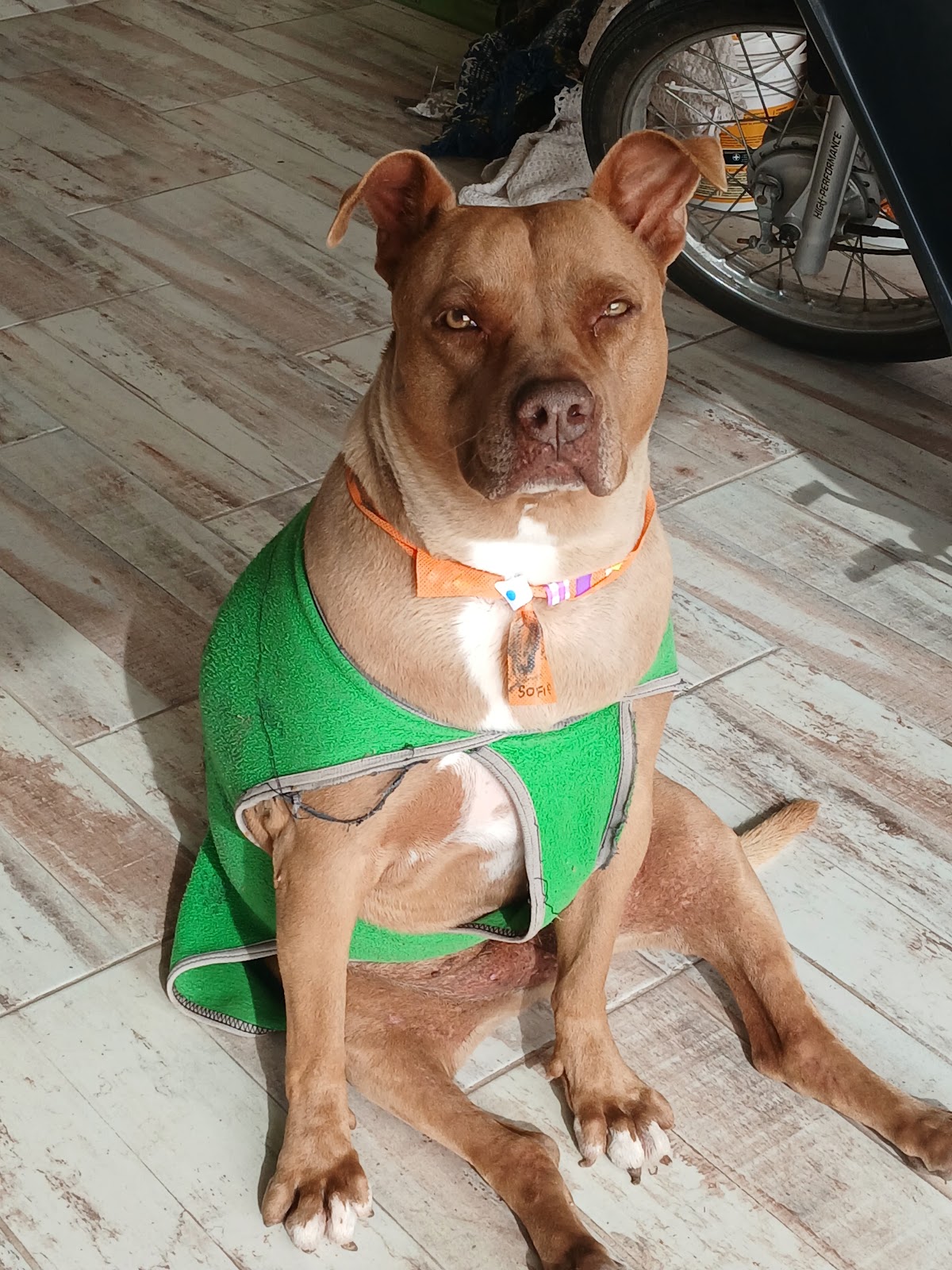 Gina