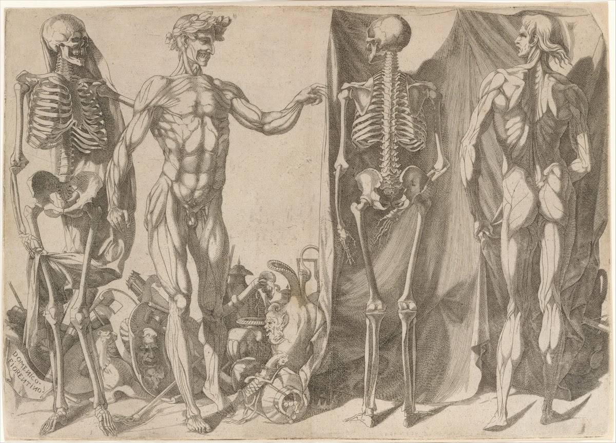 Two Flayed Men and Their Skeletons ca 154045
