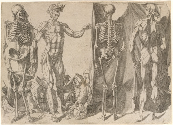 Two Flayed Men and Their Skeletons ca 154045
