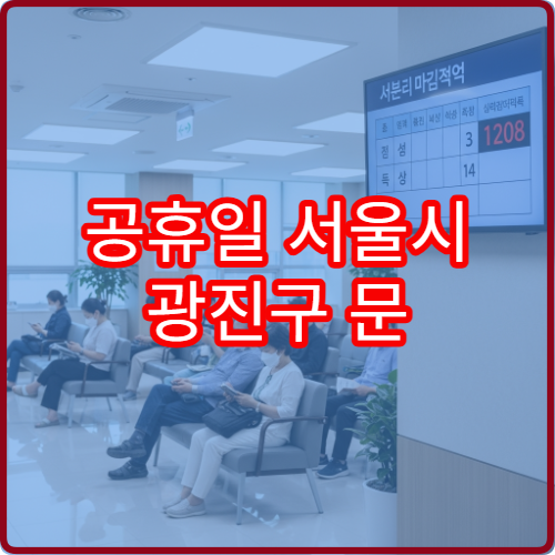 공휴일 서울시 광진구 문 여는 약국 찾기 삼일절 당번약국 운영 시간·처방전 조제 가능 안내