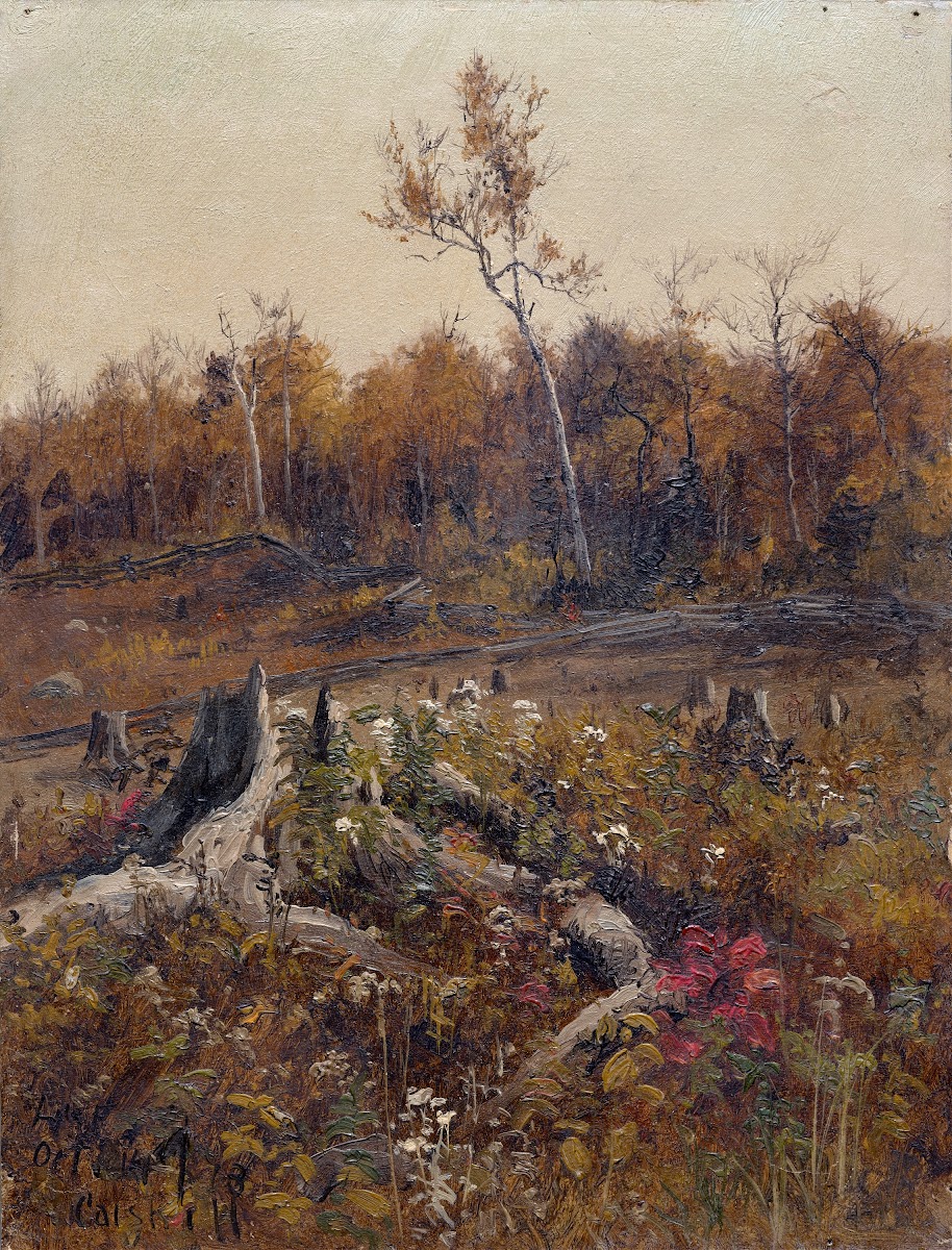 Landscape 1873