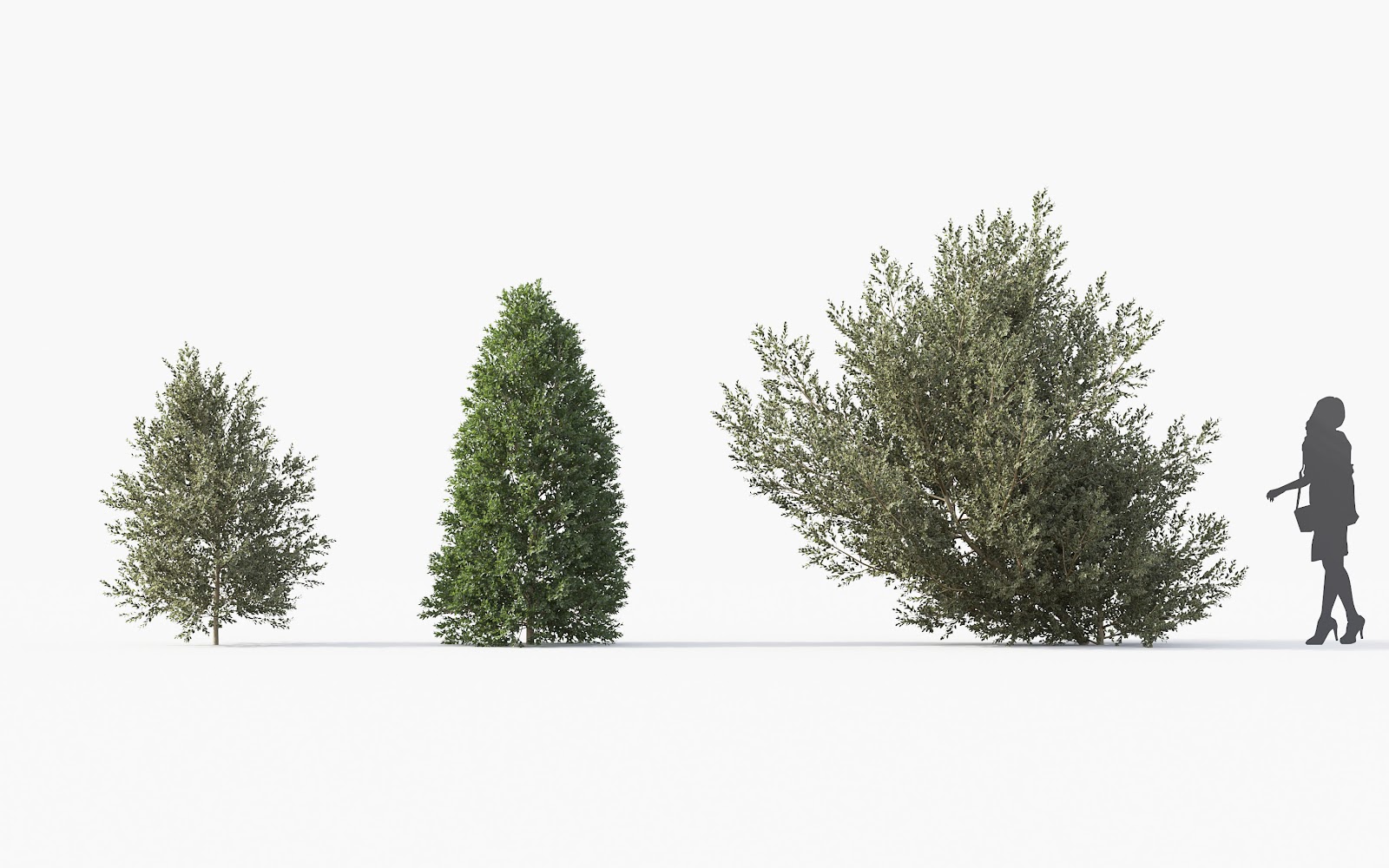 Maxtree - Plant Models Vol.28