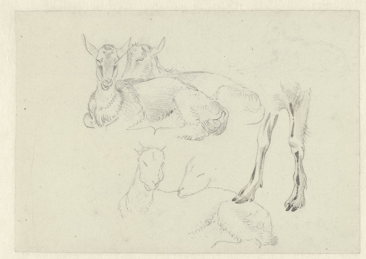 Studies of Goats c 1809   c 1812