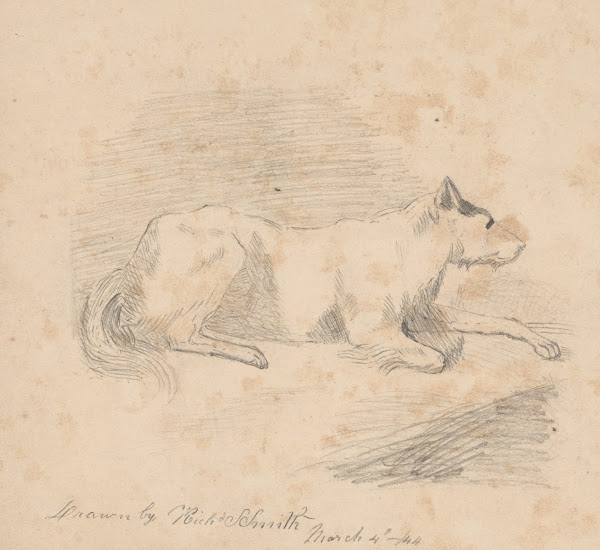 Pencil exercise no 2  lying dog 1844