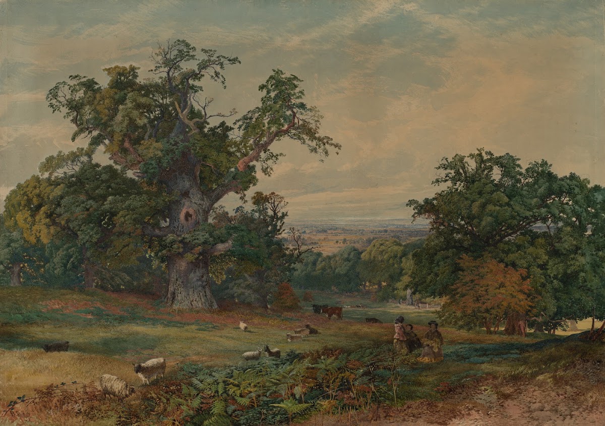 View Near Bedford C 182585