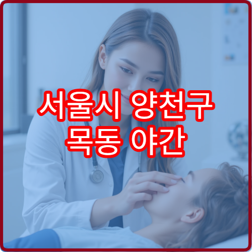 서울시 양천구 목동 야간 진료 가능한 정신건강의학과 상담 가능 여부 정리