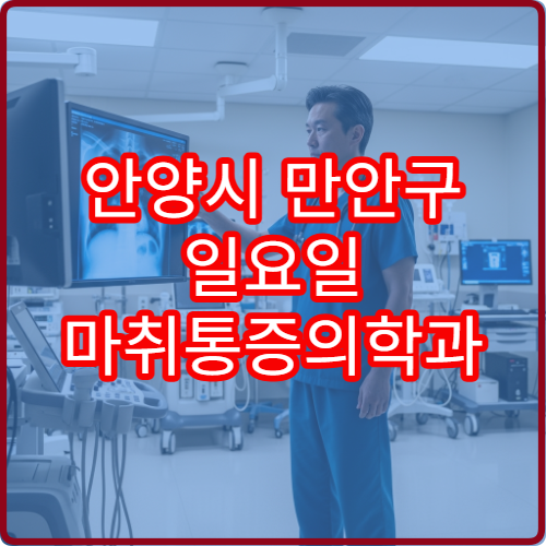 안양시 만안구 일요일 마취통증의학과 진료 병원 급성통증·신경통 상담 가능