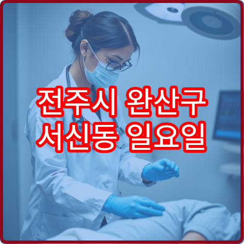 전주시 완산구 서신동 일요일 진료 피부과 가려움증 치료