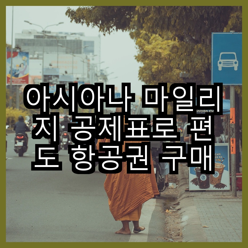 아시아나 마일리지 공제표로 편도 항공권 구매하기 썸네일