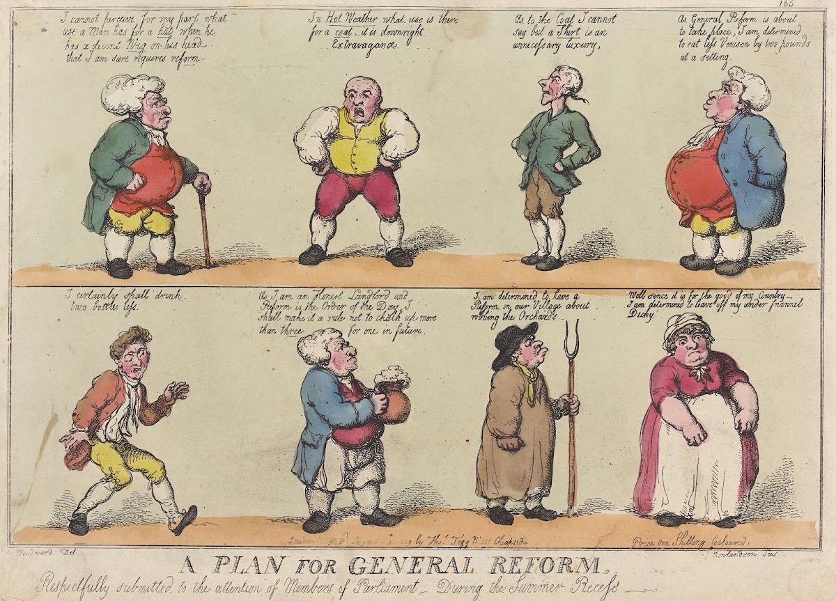 A plan for general reform respectfully submitted to the attention of members of